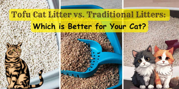 Tofu Cat Litter vs. Traditional Litters: Which is Better for Your Cat?